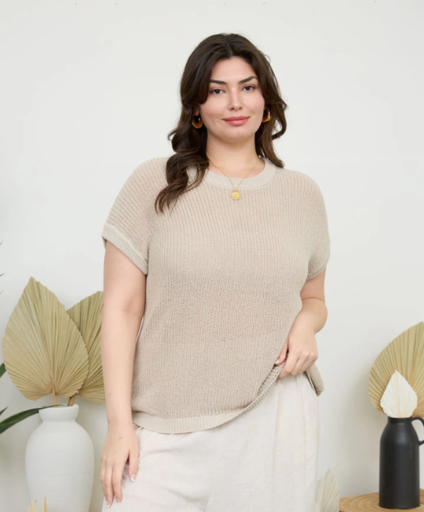 THE AMANDA PLUS SHEER KNIT CREW NECK BATWING SWEATER TOP
